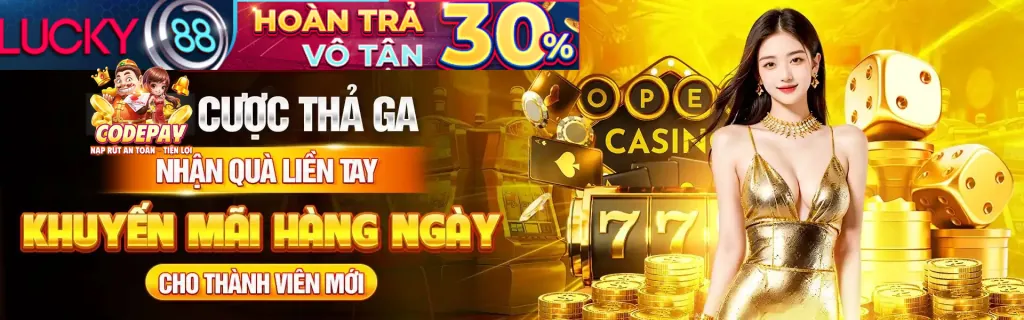Cam kết bảo mật và an toàn thông tin của france98